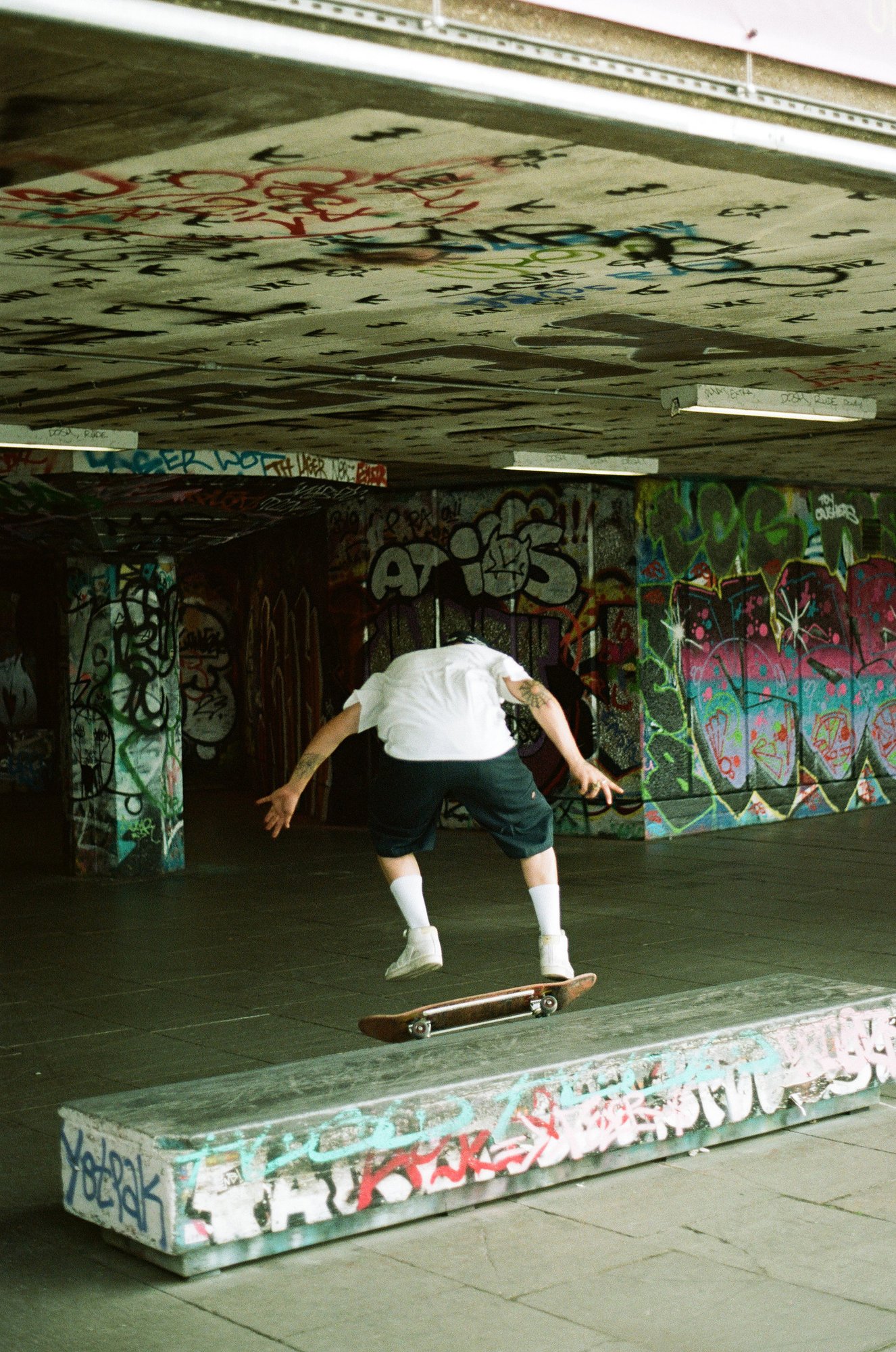 Potra 400