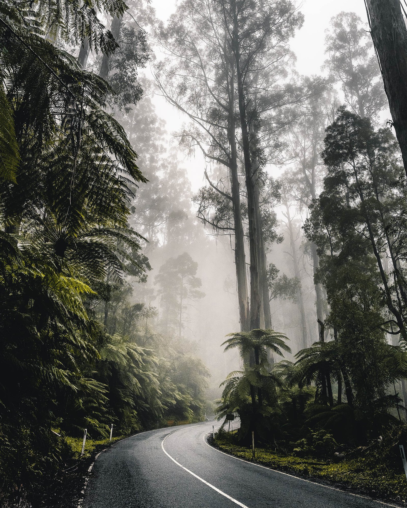 Black Spur, Australia